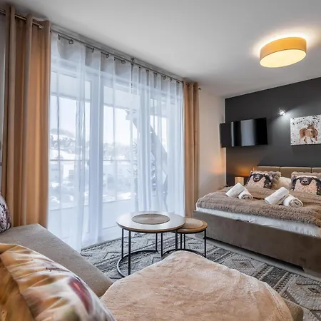 343 - Zakopianski - Jacuzzi & Sauna & Silownia & Plac Zabaw Zakopane